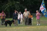 présentation chiens