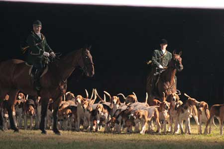 meute de chiens