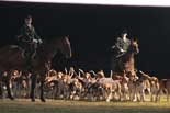 chiens de chasse
