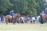 cor de chasse