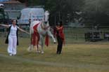 spectacle cheval