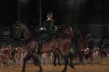 cheval