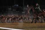 chasse carrouges