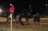 chevaux de chasse