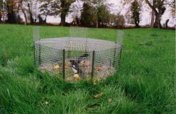 cage à pies