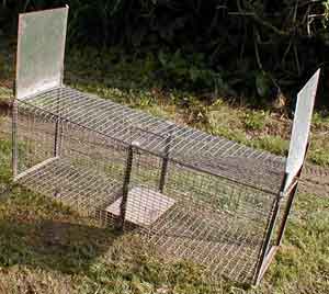 cage à fauves